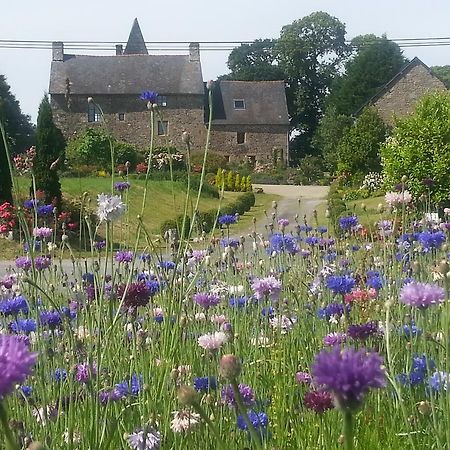 Bed and Breakfast Manoir De La Branche Maen Roch Esterno foto