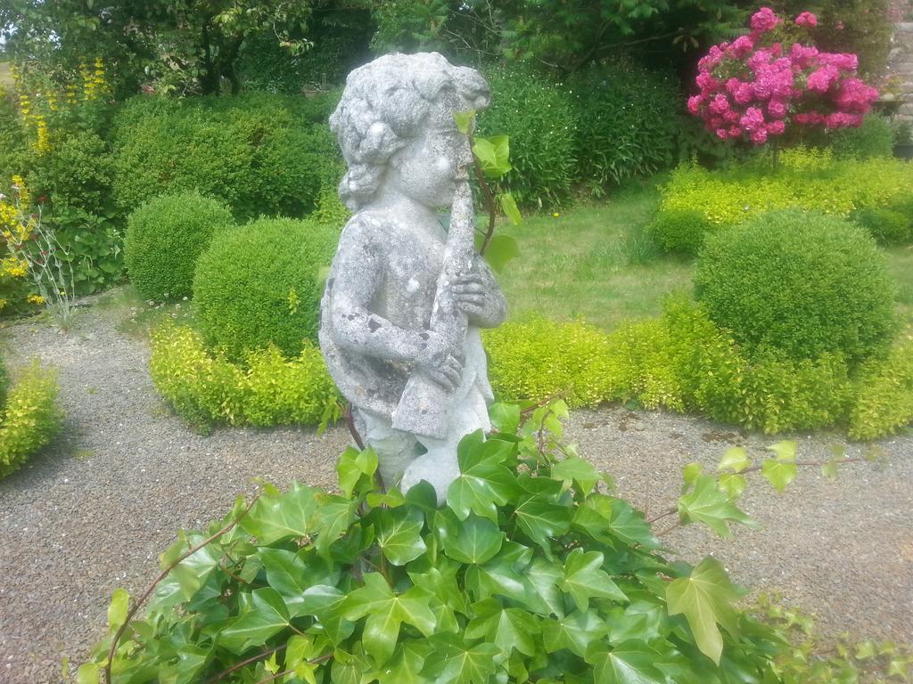 Bed and Breakfast Manoir De La Branche Maen Roch Esterno foto