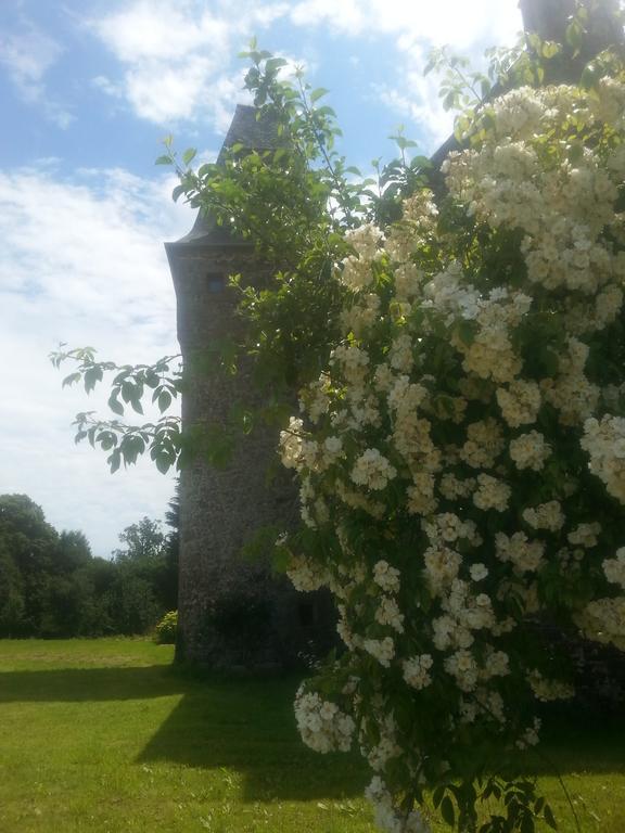 Bed and Breakfast Manoir De La Branche Maen Roch Esterno foto