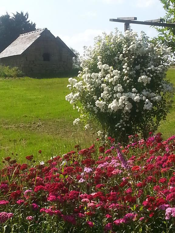 Bed and Breakfast Manoir De La Branche Maen Roch Esterno foto