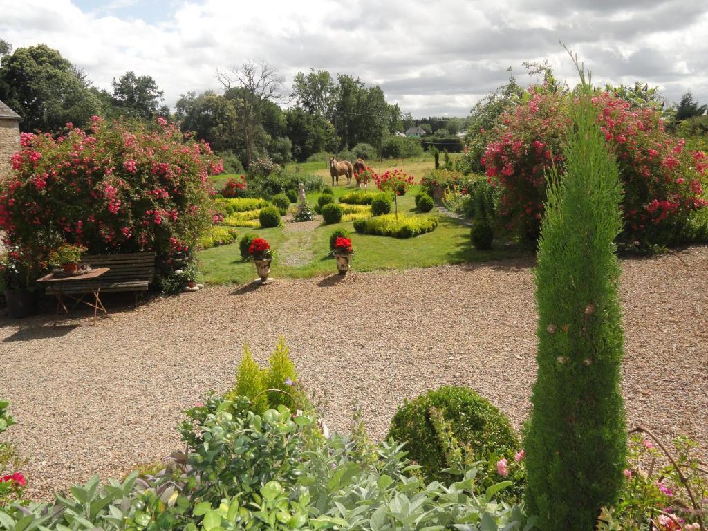 Bed and Breakfast Manoir De La Branche Maen Roch Esterno foto