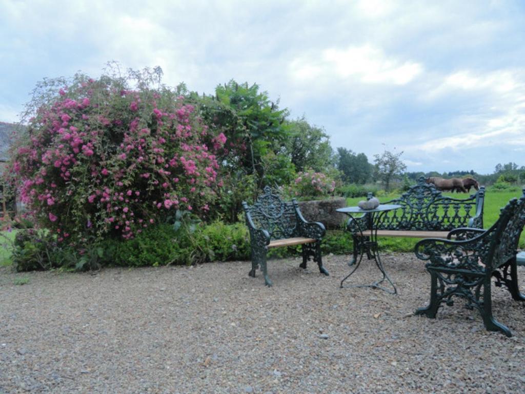 Bed and Breakfast Manoir De La Branche Maen Roch Esterno foto