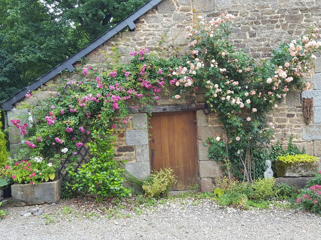 Bed and Breakfast Manoir De La Branche Maen Roch Esterno foto