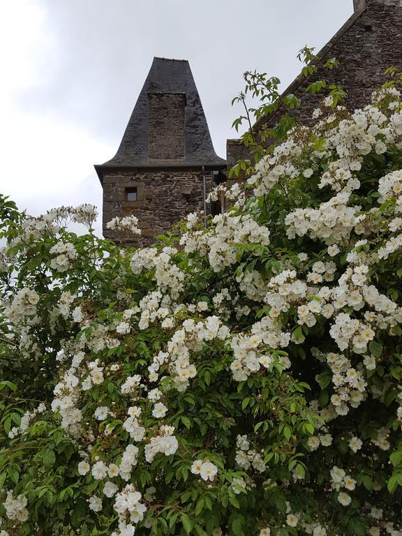 Bed and Breakfast Manoir De La Branche Maen Roch Esterno foto