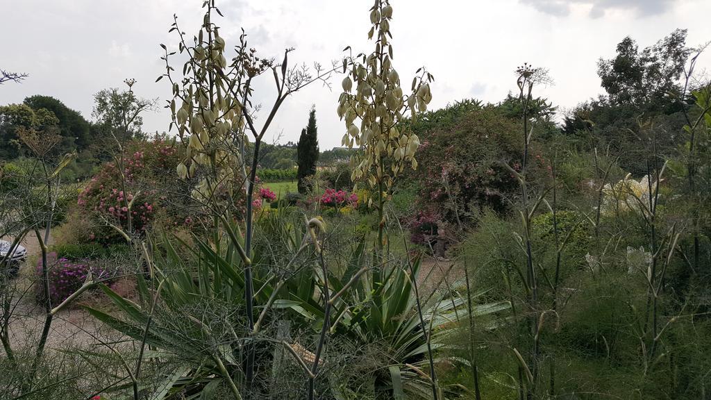 Bed and Breakfast Manoir De La Branche Maen Roch Esterno foto