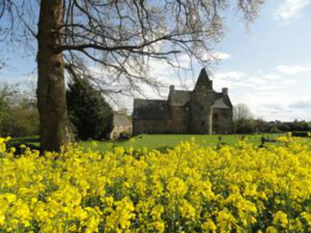Bed and Breakfast Manoir De La Branche Maen Roch Esterno foto