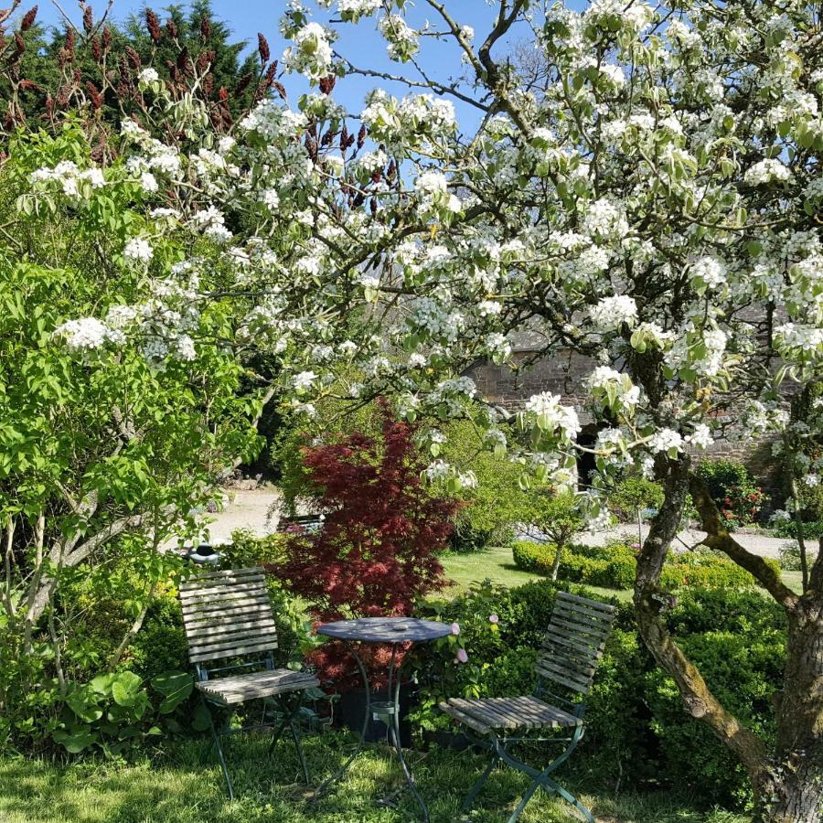 Bed and Breakfast Manoir De La Branche Maen Roch Esterno foto
